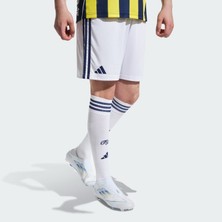 adidas Fenerbahçe 25-26 Erkek Beyaz İç Saha Futbol Şortu.-