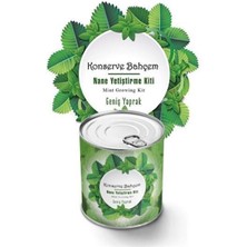 Buffer® Konserve Bahçem Nane Yetiştirme Kiti