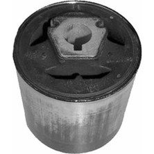 Kautek SALINCAK BURCU ON ALT UST BMW 105 E53 2000-2006 31126769715