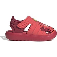 adidas  Bebek  Sandalet WATER SANDAL SEBASTIAN I IH1235