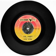 Yıldız Tezcan - Nar Tanesi (107) PLK8399