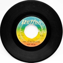 Fevzi Üreten - Issız Kalan Türbende (107) PLK8342