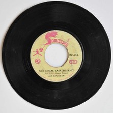 Ali Şenozan - Aşık Olmak Yasak Mı Sanki Plak (106.5)  PLK3047
