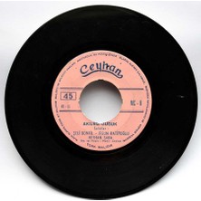 Beyhan Saka - Akılsız Guguk (107) PLK5250