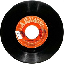 Sevim Karan - Aldatılmayan Varmı  Dert Üstüne Dert  Plak (106.5) PLK20310