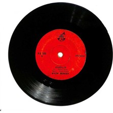 Aylin Berkay – Kimbilir  Ben Küskünüm Feleğe Plak (107) PLK18427