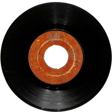 Hayrullah Özden - Senin Yalan Aşkına Plak (107) PLK18167