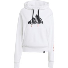 Adidas TERREX JM6364 Terrex Snow Adventure Graphic Kapüşonlu Üst