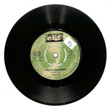 Leyla Nur - Maziyi Unutmadım  Hiç Teselli Buldunmu Plak (106.5) PLK20988