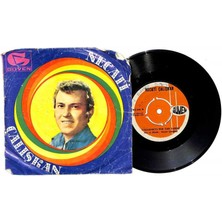 Necati Çalışkan - Yaşamakta Bir Tad Varmı  Ben Ağacın Dalları   Plak (107) PLK21557