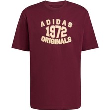 Adidas Originals JX8175 Bol Tişört