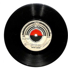 Hayri Şahin  - Gözyaşlarım  Sevdim De Sevilmedim Plak (107) PLK21380