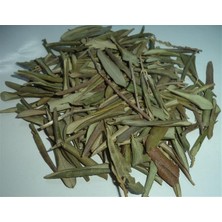 Aktar Depo Zeytin Yaprağı 500 gr