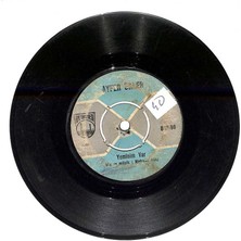 Ayfer Ünler - Yeminim Var  Hayatımı Sana Verdim  Plak (106)  PLK21779