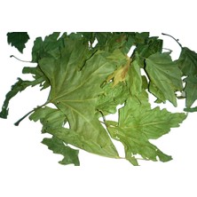 Aktar Depo Çınar Yaprağı 250 gr