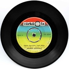 Asuman Çevikkalp - Odana Sermişim Yeşil Halıyı (109) PLK6150