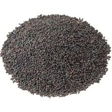 Aktar Depo Hardal Tohumu Siyah  100 gr