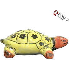 Çini Kaplumbağa AOB437