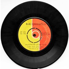 Baki Çallıoğlu - Bademler Çiçek Açtı (107) PLK7861