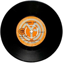 Sermin Can - Gülmek Yokmuş Kaderde  Hayat Çökmüş Omuzuma (107) PLK561