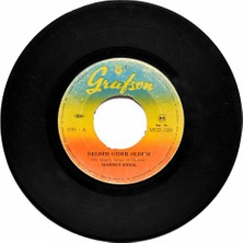 Mahmut Erdal - Geldim Gider Oldum (107) PLK10034