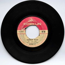 Şükran Ay - Kambur Felek (106) PLK5543