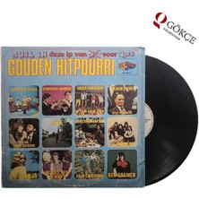 Various - Gouden Hitpourri Lp Plak  PLK1085