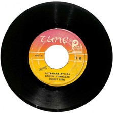 Mahmut Erdal - Yazbahar Ayında Göçen Turnalar  Ben O Dosttan Ayrı Gezdim Gezeli Plak (107) PLK18096