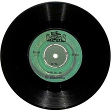 Rıza Aslandoğan - Gayrı Gel Gel Perişan Plak (107) PLK18092