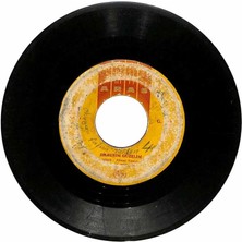 Fatma Türkan  - Dilberim Güzelim  Söyle Kimin Yarisin Plak (106) PLK20801