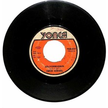 Ömür Göksel - Ağlıyormuşsun  Hasret Tel Oldu Sazıma Plak (106.5)  PLK20646