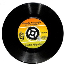 Mustafa Necipoğlu - Içim Kan Ağlıyor Benim  Unutmak Kolay Değil Plak (107) PLK19860