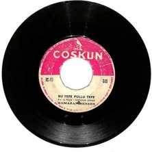 Ramazan Şenses -Bu Tepe Pullu Tepe   Benim Kaderim Böyle (Serbelayne Lafşine) Kürtçe (106) PLK18192