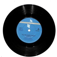 Tight Fit  - The Lion Sleeps Tonightbeep Beep  (107.5) PLK16766
