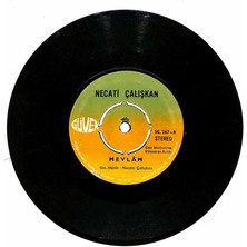 Necati Çalışkan - Mevlam  Dünya Bir Dikenli Hayat Plak (107)      PLK19454