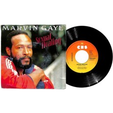 Marvin Gaye (1982) – Sexual Healing (109) PLK16014