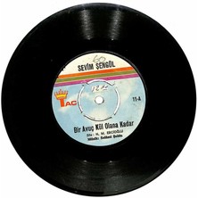 Sevim Şengül - Bir Avuç Kül Olana Kadar  Beni Benden Çalan Var  Plak (107.5)  PLK20113