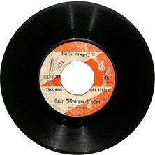 Halit Arapoğlu - Özür Diliyorum Senden  Sevda Yüklü Kervanlar Plak (106) PLK20583