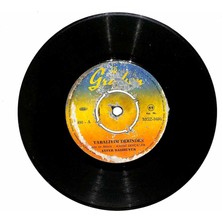 Ayfer Başıbüyük  - Yaralıyım Derinden  Utanmak Yokmu Sende Plak 107