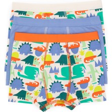U.S. Polo Assn. Erkek Çocuk 3'lü Boxer Takım 50319387-VR036