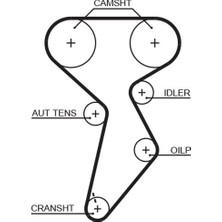 Gates TRİGER KAYIŞI 158X254 BRAVO-BRAVA-MAREA-PALIO 1.6 GD158H8P254 CT879 46400045 46514671