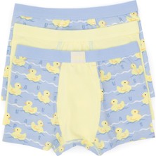 U.S. Polo Assn. Erkek Çocuk 3'lü Boxer Takım 50319389-VR035