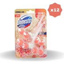 Domestos Wc Blok Duopack Yıldız Çiçeği & Ejder 100 gr - (12 Adet)