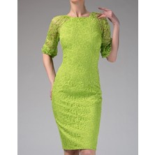 ROMAN Truvakar Kol Sırt Detaylı  Abiye Elbise Fıstık Yeşili K1411254_042