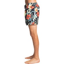 Quiksilver Erkek Volley Short Everyday Garden Path Volley 15