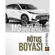 Flea Market Mg , ( Zs, Zs Ev, Ehs, Hs, Mg4 ) – Wsb 4002 Beyaz 20ML Rötuş Boyası | Çizik ve Taş Izi Onarıcı