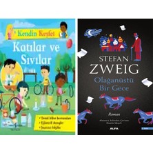 Alfa Yayınları Kendin Keşfet – Katılar ve Sıvılar + Olağanüstü Bir Gece