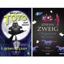 Alfa Yayınları Ninja Kedi Toto – Yılan Firarda! + Olağanüstü Bir Gece