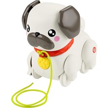 Minik Dostumla Yürüyüş Sesli ve Hareketli Fisher-Price Fp Pets Yürüyüş Arkadaşı Köpekçik Çekçekli Bebek Oyuncağı HTW94