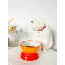 Seramik Kedi ve Köpek Mama Su Kabı Luna Model(Turuncu)